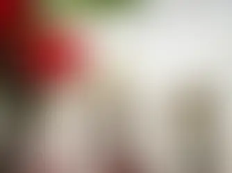 Vietnamesisches Restaurant Bad Wörishofen – Authentischer Genuss im Herzen von Allgäu