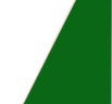 dark green slant.png