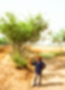 pitchfork farmer china, True Cost Accounting