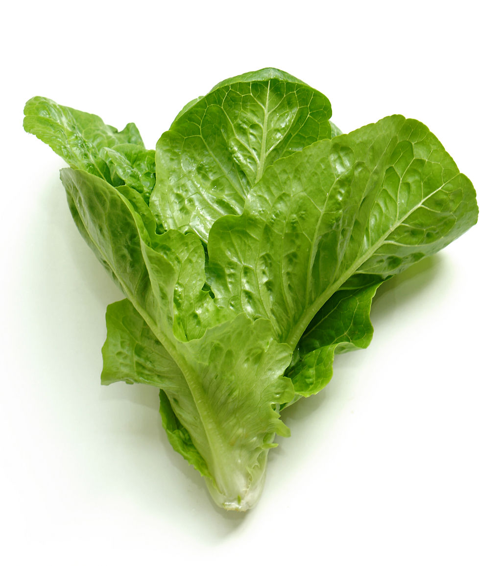 Lettuce
