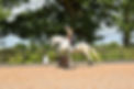 2EDE619F-2671-4DDA-A315-566D41CB33C5.jpeg