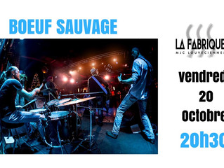 Boeuf sauvage vendredi 20 Octobre