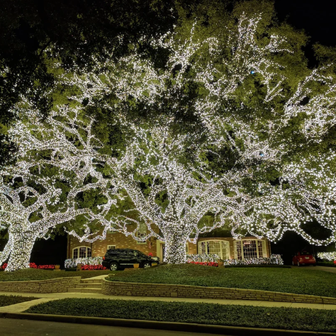 River Oaks Christmas Lights