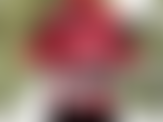 Detroit Red Wings Nhl Palm Hawaiian Shirt