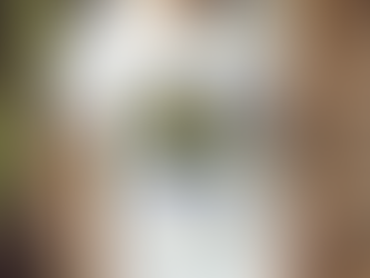 USSSA Ohio Fast Pitch 22nd Annual SGS Toledo Tune up 2023 logo shirt