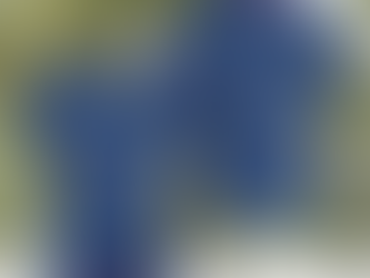 Buffalo Bills Hawaiian Shirt Blue Tropical Leaves All Over Print NFL Hawaiian Shirt