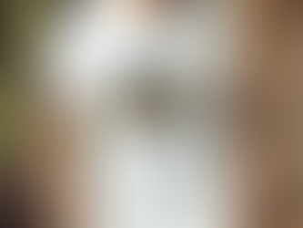 USSSA 4th of July Ugra 2023 logo shirt