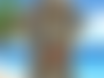 OBOSOE Men’s Cute Cat Hawaiian Shirts Button Down Casual StylishLapel Print Hawaii Shirts