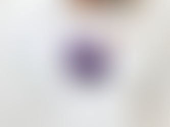 Denny Hamlin Nascar Chicago Street Race Weekend Joe Gibbs Racing 2023 Shirt