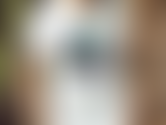 USSSA Mississippi Fast Pitch Mississippi State Tournament 2023 logo shirt