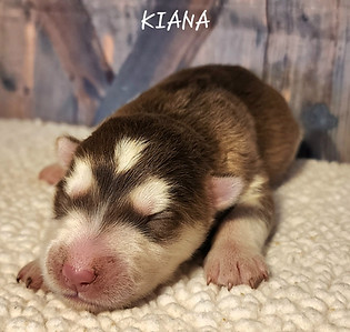 KIANA-20260915_134458.jpg