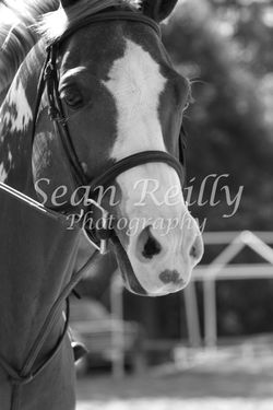 IMG_4547 B&W