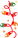 piscapisca.png