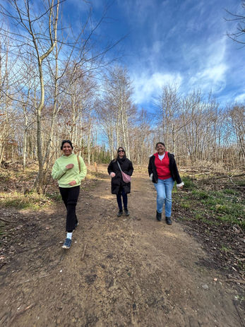 Three people walking in the woods