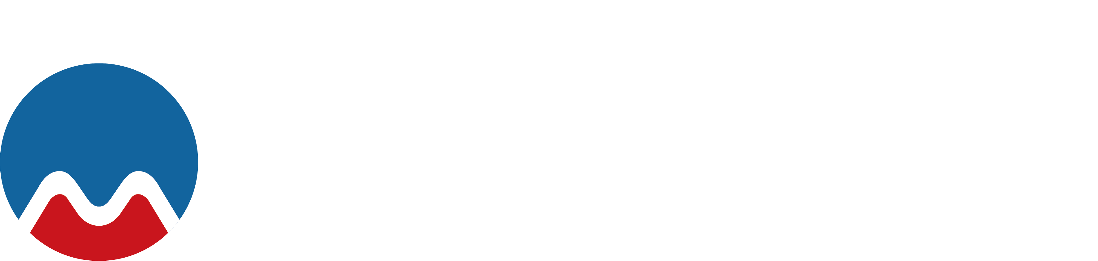 LOGO51th.png