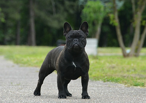 100754603_173986804048157_56936929142830