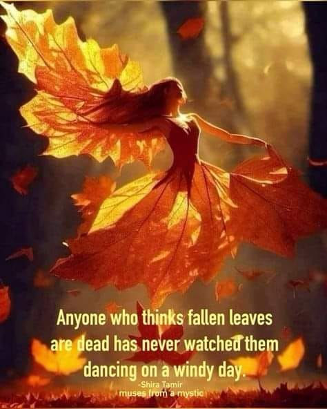 autumn leaves dancing