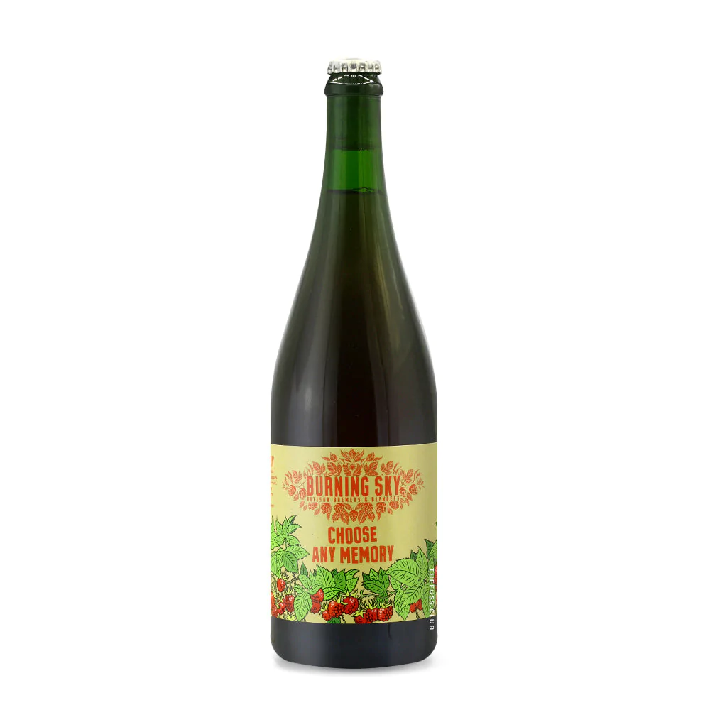 Burning Sky Choose Any Memory   