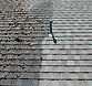 roof cleaning.jpg