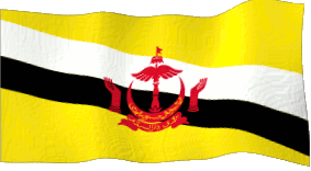 bruneiflag.gif