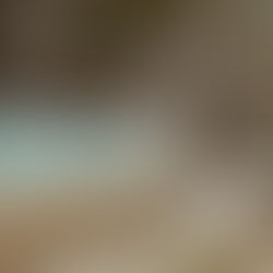 Circular concrete plunge pool surrounded by lush vertical garden and outdoor bar seating in Newcastle backyard.