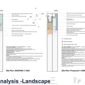 Site analysis plan showing Coastal Wetland mapping, biodiversity constraints, bushfire considerations, existing vegetation and the developable portion of a large Central Coast property.