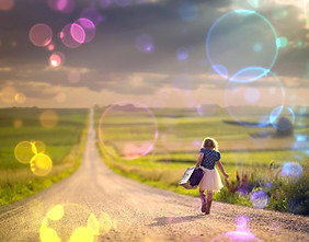 Chemin de vie