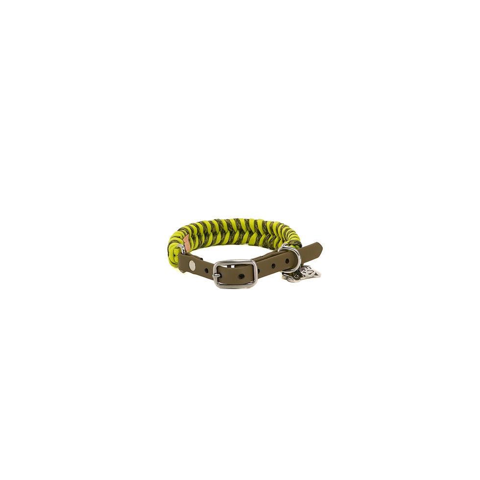Küçük resim: Zesty Paracord Köpek Tasması