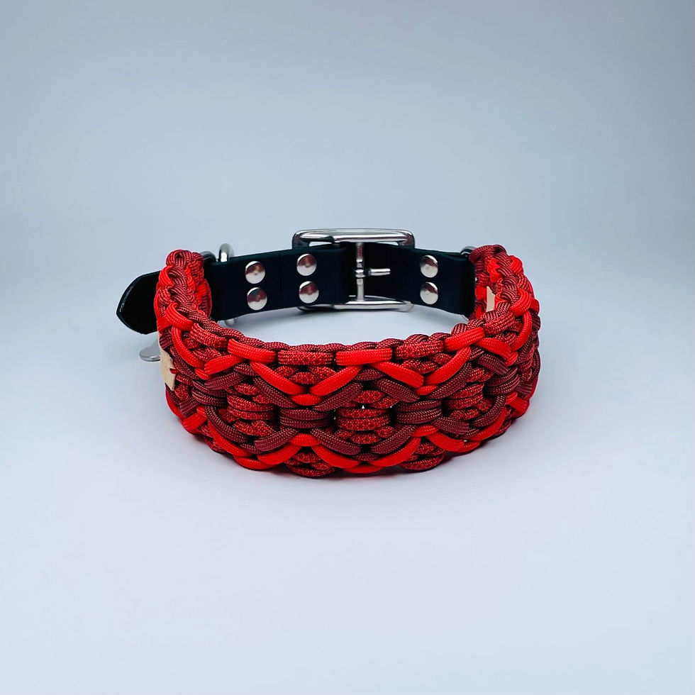 Küçük resim: El yapımı kırmızı Paracord köpek tasması | Redzill