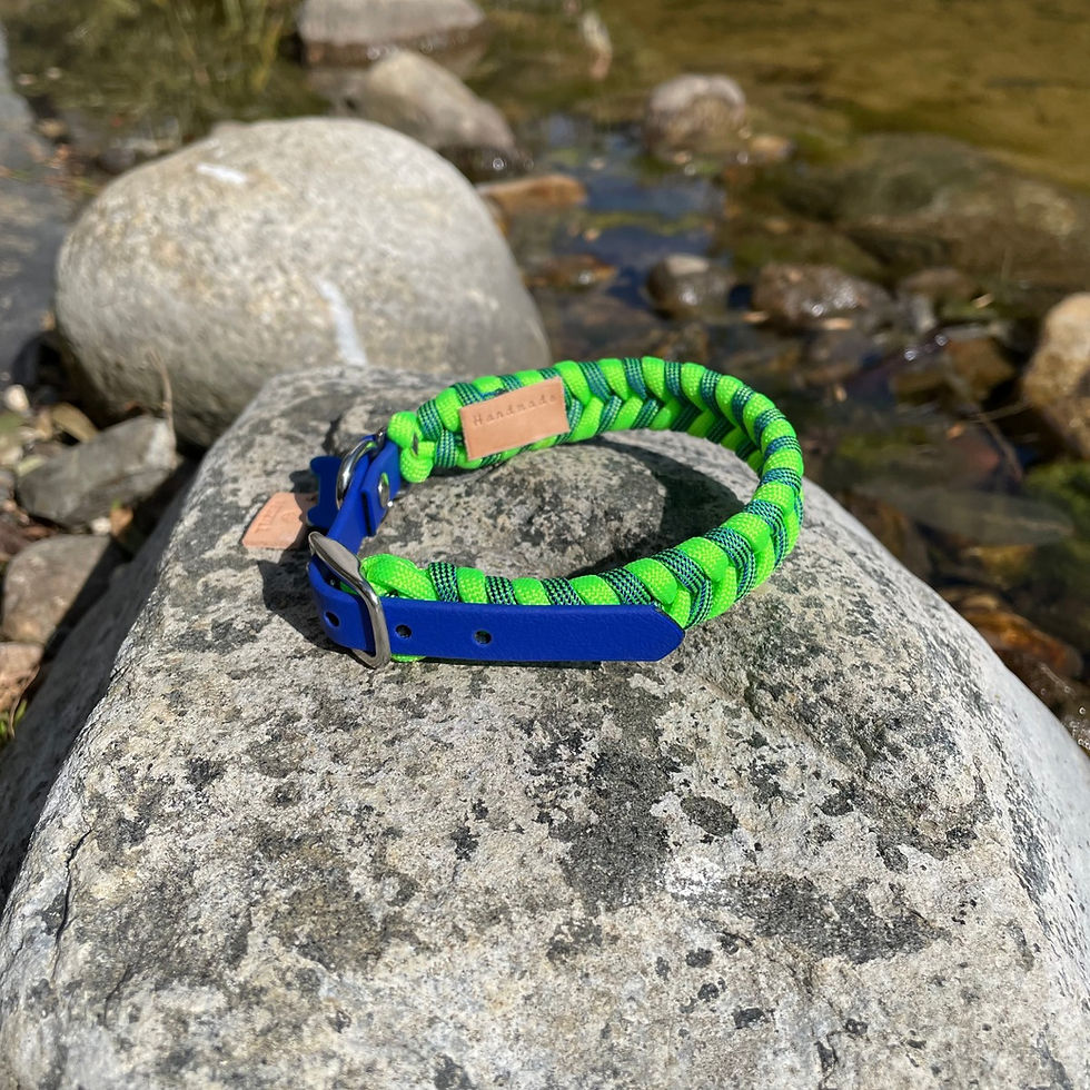 Küçük resim: Herkül Paracord Tasma (XSmall)