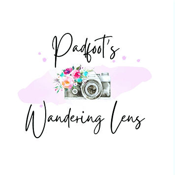 Screenshot_20210409-081903_Canva.jpg