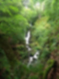 Waterfall in a lush green valley