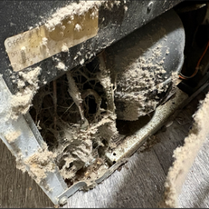 dirty efrigerator coils appliance repair tacoma wa