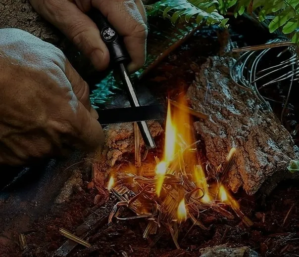 Wilderness Survival