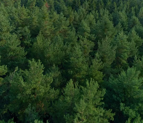 PNW Tactical Adventure