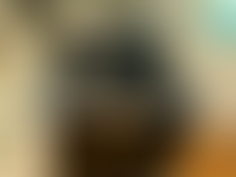 Stainless steel oven in a kitchen with green tile backsplash. Text: "APPLIANCE REPAIR" and "www.fixufa.com." Brown wooden floor.