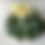 Thumbnail: Silver Dollar Eucalyptus Garlands