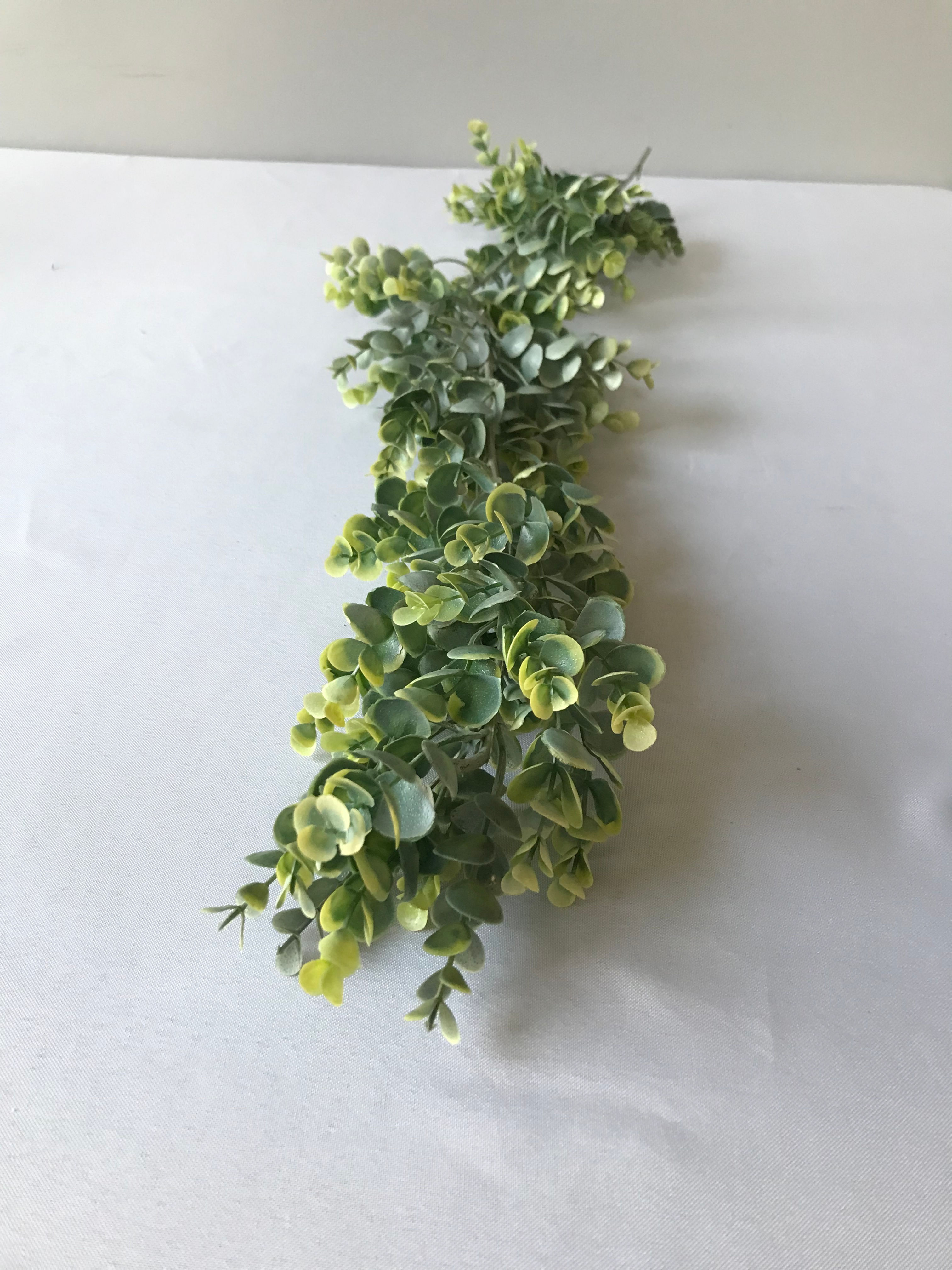 Boxwood Garland (3’)