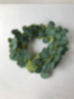 Silver Dollar Eucalyptus Garlands