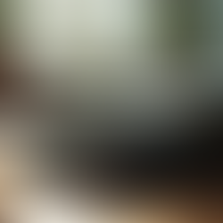 d.l. tracey blog posts: A Journey Through Suspense, Horror, and Memoir