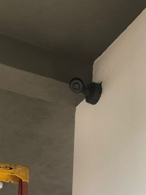 1000137925