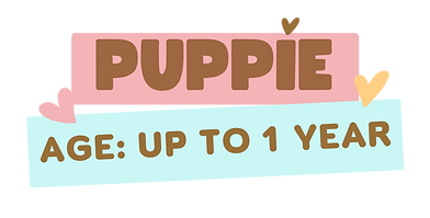 Post Instagram Pets Petiscos Desconto (Banner para YouTube) (1).png