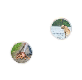 Papel de parede rosa minimalista sobre gato (1).png