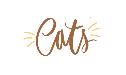 Post Instagram Pets Petiscos Desconto (Banner para YouTube) (59).png