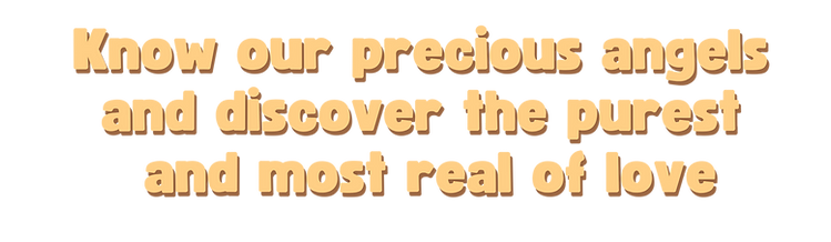 Post Instagram Pets Petiscos Desconto (Banner para YouTube) (100).png