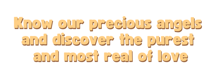 Post Instagram Pets Petiscos Desconto (Banner para YouTube) (100).png