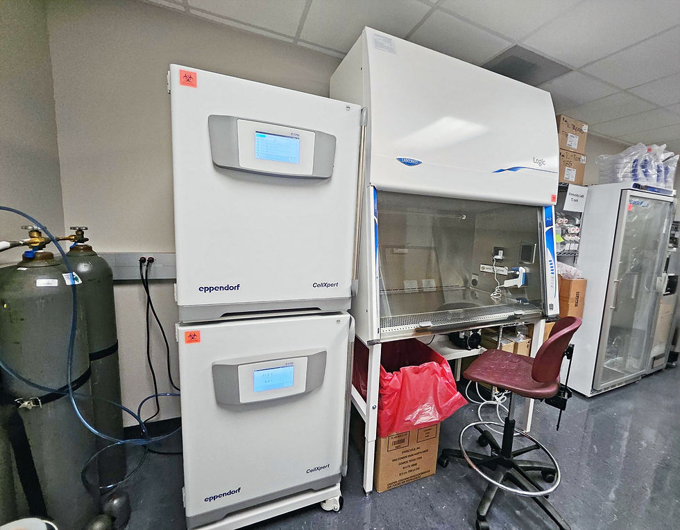 Our tissue culture room is fully equipped for immune cell work, featuring dual stacked incubators, CO₂ tanks with an auto-switch valve, and a dedicated refrigerator and supply rack.