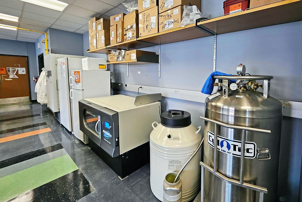 Cold storage and cell banking: -80°C, -20°C, and 4°C units for sample stability, a large orbital shaker for bacterial growth, and liquid nitrogen storage for long-term preservation of our cell bank.