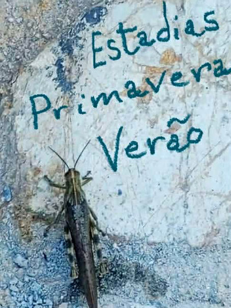 Estadias Primavera/Verão no Está Bem- Spring/Summer Stays at Está Bem