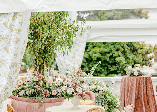 editorials daughters of the american revolution img20.png